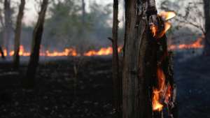Два крупных лесных пожара бушуют в Ханты-Мансийском автономном округе. Фото: РИА Новости