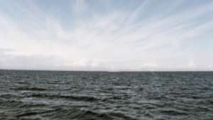 Проверка подтвердила сообщения о загрязнении топливом Онежского озера. Фото: РИА Новости
