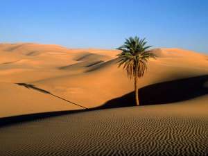 Пустыня Сахара. Фото: http://photoland.ru/