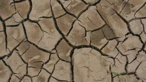 Засуха ударила по сельскому хозяйству Индии - эксперт. Фото: РИА Новости