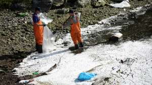 Сотрудники МЧС РФ с помощью абсорбента ликвидируют масляное пятно на реке Енисей. Фото: РИА Новости