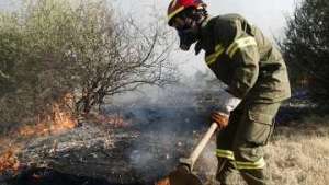 Лесные пожары в Греции. Фото: РИА Новости