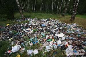 Московская область. Красногорский район. Свалка бытового мусора в лесу на берегу озера. Фото: Greenpeace