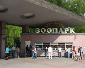 Киевский зоопарк. Фото: http://focus.ua
