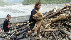 Количество жертв тайфуна &quot;Кетсана&quot; во Вьетнаме превысило 30 человек. Фото: РИА Новости
