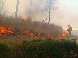 Пожары уничтожили в Австралии 6 тысяч гектаров леса. Фото: РИА Новости