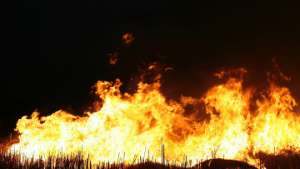 Спасатели тушат крупный пожар в тундре в Магаданской области. Фото: РИА Новости