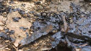 Нефтеразлив в Липецкой области загрязнил местные водоемы. Фото: РИА Новости
