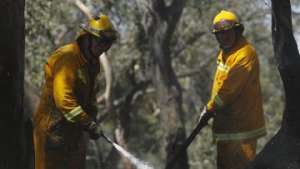 Более ста лесных пожаров возникли за день на юго-востоке Австралии. Фото: РИА Новости