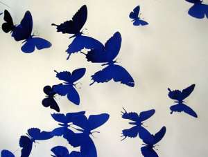 Бабочки. Фото: http://www.novate.ru/