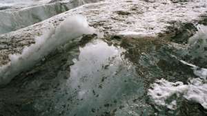 Вылившаяся из трубопровода BP на Аляске нефть застыла из-за заморозков. Фото: РИА Новости
