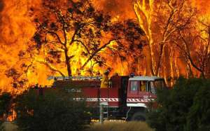 Лесные пожары в Австралии. Архив http://www.infozoom.ru
