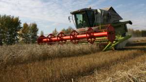 Изменение климата может оказаться на руку сельхозпроизводителям. Фото: РИА Новости