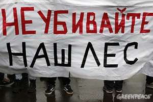 21 ноября около метро «Ясенево» состоялся митинг в защиту Бутовского леса и Битцевского лесопарка. Фото: Greenpeace