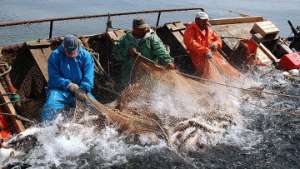 Орудия рыбной ловли, запрещенные к ввозу в Россию, будут уничтожаться. Фото: РИА Новости