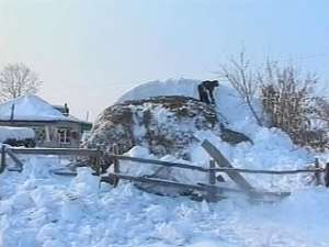 В Восточном Казахстане установилась аномально снежная и морозная погода. Фото: Вести.Ru