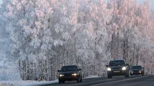 Морозы до минус 35 придут в Карелию. Фото: РИА Новости