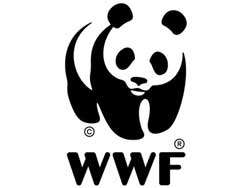 Эмблема WWF. Фото: http://korrespondent.net