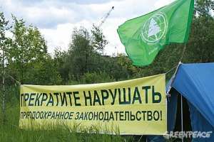 Защитники Химкинского леса намерены стоять до конца. Фото: Greenpeace