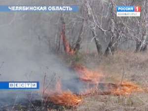 На Южном Урале начался сезон лесных пожаров. Фото: Вести.Ru