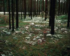 Мусор в лесу. Фото: http://www.bg.ru
