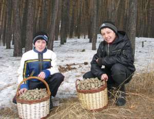 Фото Департамента лесного комплекса Кемеровской области