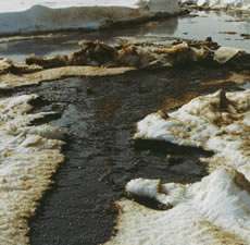 Разлив нефти на льду. Фото: http://www.maritimemarket.ru