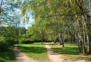 Лианозовский парк. Фото: http://www.vigoda.org