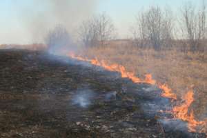 Тление и возгорание травы на торфянниках. Фото: http://www.miloserdie.ru