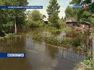 В общей сложности в Новосибирской области вода оккупировала почти две тысячи садовых участков. Фото: Вести.Ru