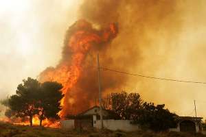 Пожары в Греции. Фото: http://www.etoday.ru