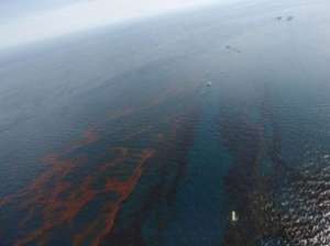 Разлив нефти. Фото: http://topnews.ru