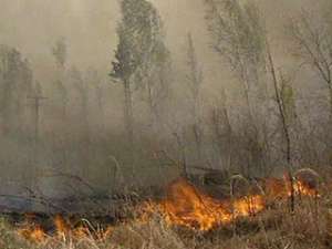 Крупные лесные пожары бушуют на Сахалине и в Забайкалье. Фото: НТВ