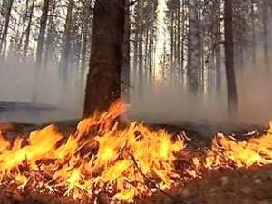 В Иркутской области горит национальный природный парк. Фото: Вести.Ru