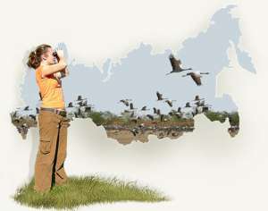 Наблюдение за птицами. Фото: http://www.ecotravel.ru