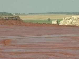 Загрязненная красным шламом вода Дуная достигла Сербии. Фото: Вести.Ru