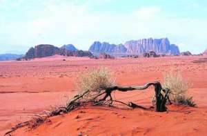 Пустыня. Фото: http://vitamarg.com