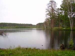 Озеро. Фото: http://seliane.ru