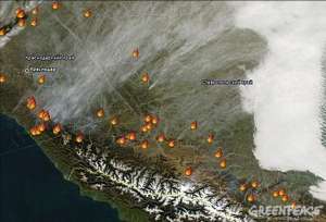 Схема расположения основных очагов пожаров в лесах Кавказа по состоянию на вторую половину дня 11 ноября 2010 года по данным пожарной информационной системы FIRMS. Фото: Greenpeace