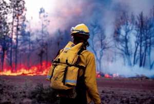 Тушение лесных пожаров. Фото: http://dic.academic.ru