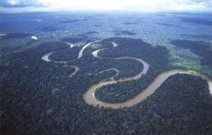 Амазония. Фото: http://curanderos.ru