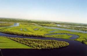 Большое Васюганское болото. Фото: http://greeninform.ru