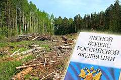 Лесной кодекс РФ. Фото: http://www.wek.ru