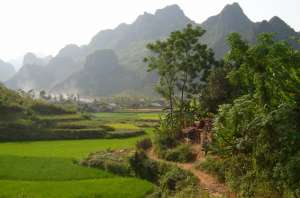 Природа Вьетнама. Фото: http://zagranicey.ru