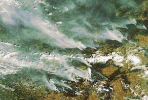 Лесные пожары. Вид из космоса. Фото: http://beta.inosmi.ru