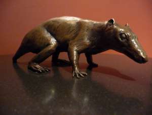 Скульптурная реконструкция первого млекопитающего. Фото: http://science.compulenta.ru