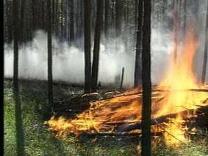 МЧС прогнозирует осложнение ситуации с природными пожарами в Сибири. Фото: http://www.rtvi.ru