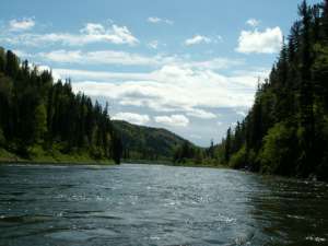 Река Кия. Фото: http://www.irtysh.ru