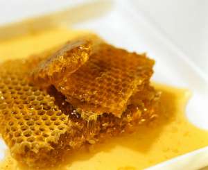 Мёд обладает бактерицидными свойствами, то есть способностью убивать болезнетворные микроорганизмы или задерживать их рост. (Фото Oberhauser, Anita / the food passionates / Corbis.)