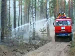 К тушению пожаров привлечены 286 человек и 24 единицы техники. За сутки ликвидировано четыре лесных пожара. Фото: http://www.1tv.ru/